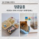 데이, 멍 | 김포반려동물수제간식 댕콤달콤 멍김밥 멍파스타 원데이클래스 후기
