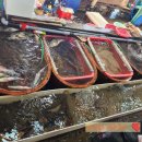 미야수산 - 사천시 어시장길 64 | 미야수산