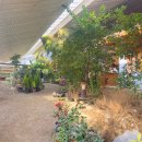 꽃피는 산골 이미지