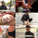 김광석농장 이미지