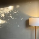 폴개우영 이미지