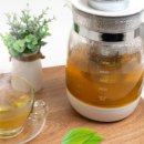 몰포트코리아 이미지