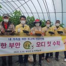 오디하우스 이미지