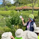 신나는예꼬어린이집 이미지