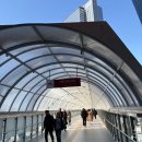 새중앙약국 | 창고형약국 용산 메디킹덤 후기 (찾아가는 길, 가격, 주차꿀팁)