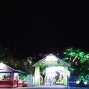 대웅주유소 앞 이미지