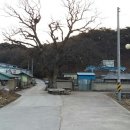 밤나무쉼터