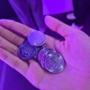 역사문화부잣길B | [대외활동] 2025 코리아인디게임쇼케이스 방문 후기