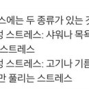 포카포카 이미지