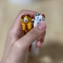 귀여운사자마켓
