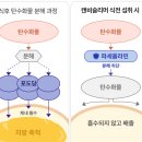 제품후기_ 다이어트 보조제 편 | 필켓 캔비클리닝 핑크, 캔비슬리머 화이트 꾸준한 섭취중이에요