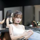 비아이피오토