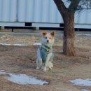 반딧불독서실 이미지