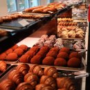 용인영락작은도서관 | 사진 찍기 좋은 카페 포레스트아웃팅스 용인점 후기