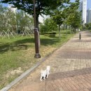 생기자리공원 이미지