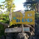 하쿠나마타타 민박 이미지