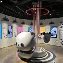 지리산 보더콜리 이미지