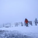 부산23산우회 폭설내린 영남알프스/2024.01.21 이미지