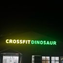 크로스핏 다이노소어 이미지