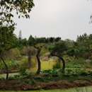 청산수목원 이미지