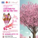 가자소프트 이미지