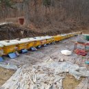 아산시-2018-010 이미지