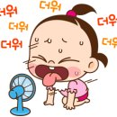 영일낚시 - 포항시 남구 상대로 156 | 영일낚시