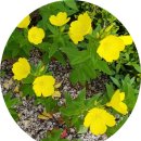 탄천종합운동장 (체육회관) 이미지