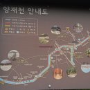 [도서관 투어] 서초구립양재도서관(양재오솔숲도서관/양재천 여의천 벚꽃/봄봄놀이터)