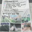 너만볼개 이미지