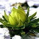 피부미인 이미지