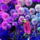 역사재현단지기능촌1주차장입구 | [라원]경주여행 경주갈만한곳 비오는날 실내데이트 디지털식물원 미디어아트