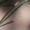 주식회사 스텝스인 이미지