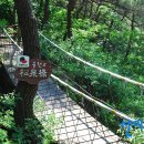 이산치안센터 이미지