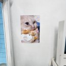 프레요 개금점 이미지