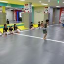 힘찬 청운 태권도장 이미지