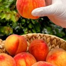 미담하우스 이미지