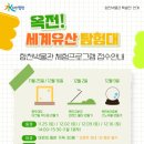 가야 고분군의 세계문화유산적 가치 이미지