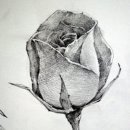 데생 중급 이미지