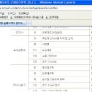 순흥의 연리지송 이미지