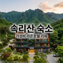 라온호텔 | 속리산 라온호텔 후기, 법주사 근처 가성비 숙소 추천하는 3가지 이유