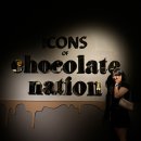 엔트워프 | [벨기에 교환학생🇧🇪] 3주차-벨기에 엔트워프 여행 Antwerp, Belgium