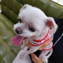 화랑동물병원 이미지