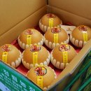 정림농장 네이버블로그