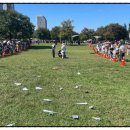 종이나라 공작소 이미지