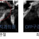 오에프피구강내과치과의원 이미지