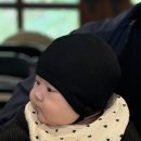 하누둥이 | 짱도리의 육아일기 6 (D+121~160일)