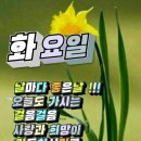 에이스환경 이미지