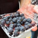 신문왕릉 화장실 | 백두산 3박4일 패키지 가족여행 | 10월 준비물, 천지 북파+남파코스, 고구려유적지