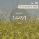 충남당진수청지구 뚜벅이 부동산 임장 후기 1탄 (feat. 당진수청한라비발디캠퍼스, 동부센트레빌르네블루)